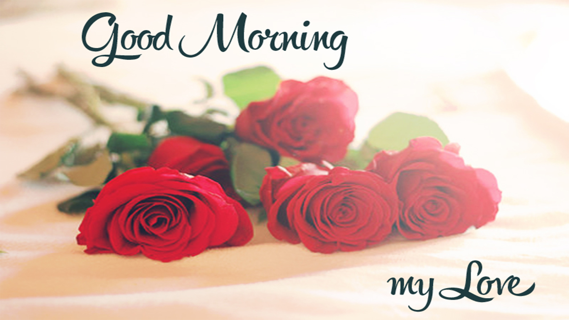 Good Morning My Love Animated Images | Morning Love Greetings