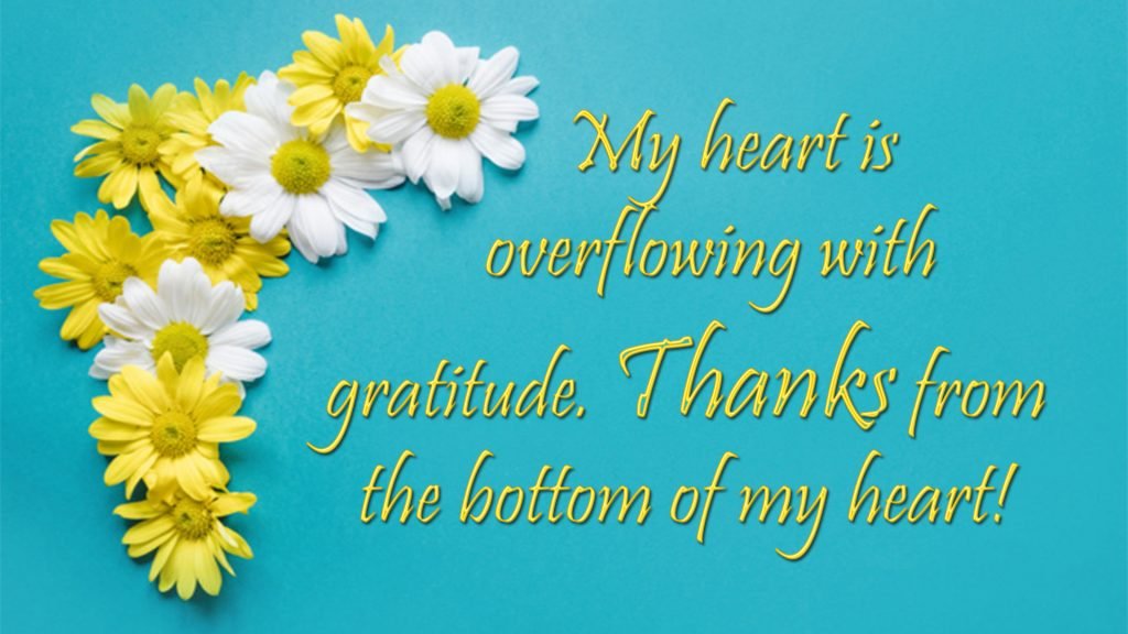 Thank You Wishes, Quotes & Messages Images | Thank You Cards