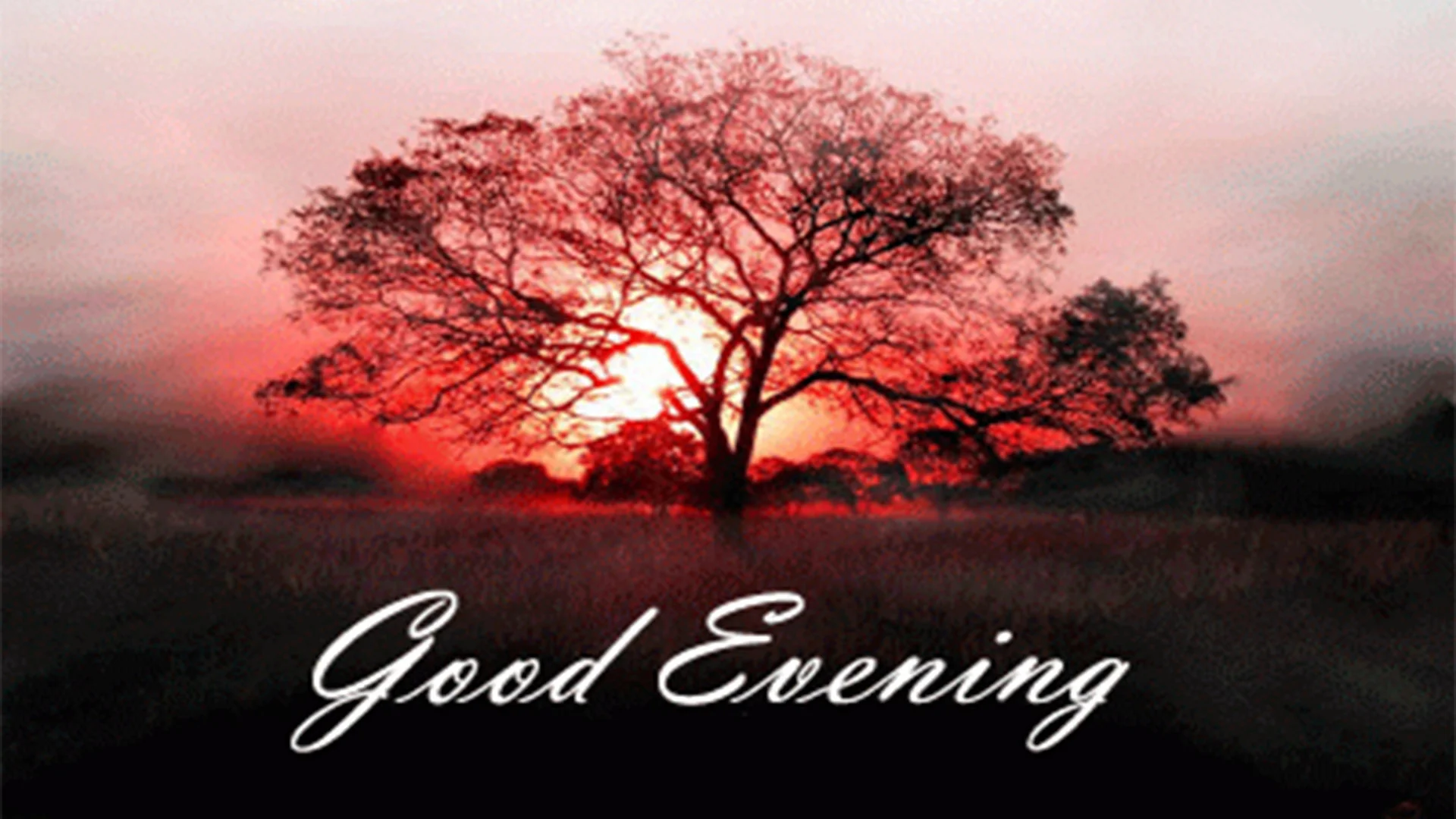 good evening images