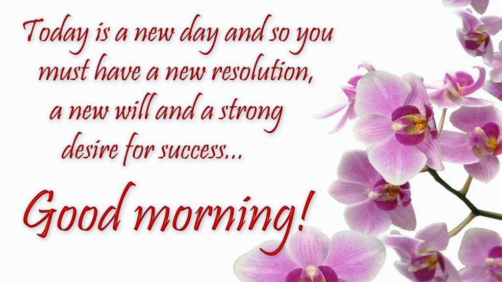 Good Morning Quotes HD Images | Morning Greetings & Messages