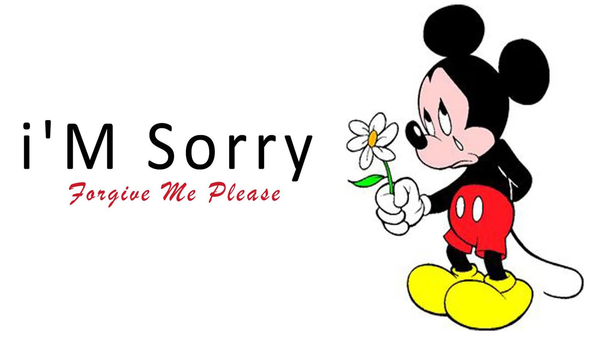 i am sorry image
