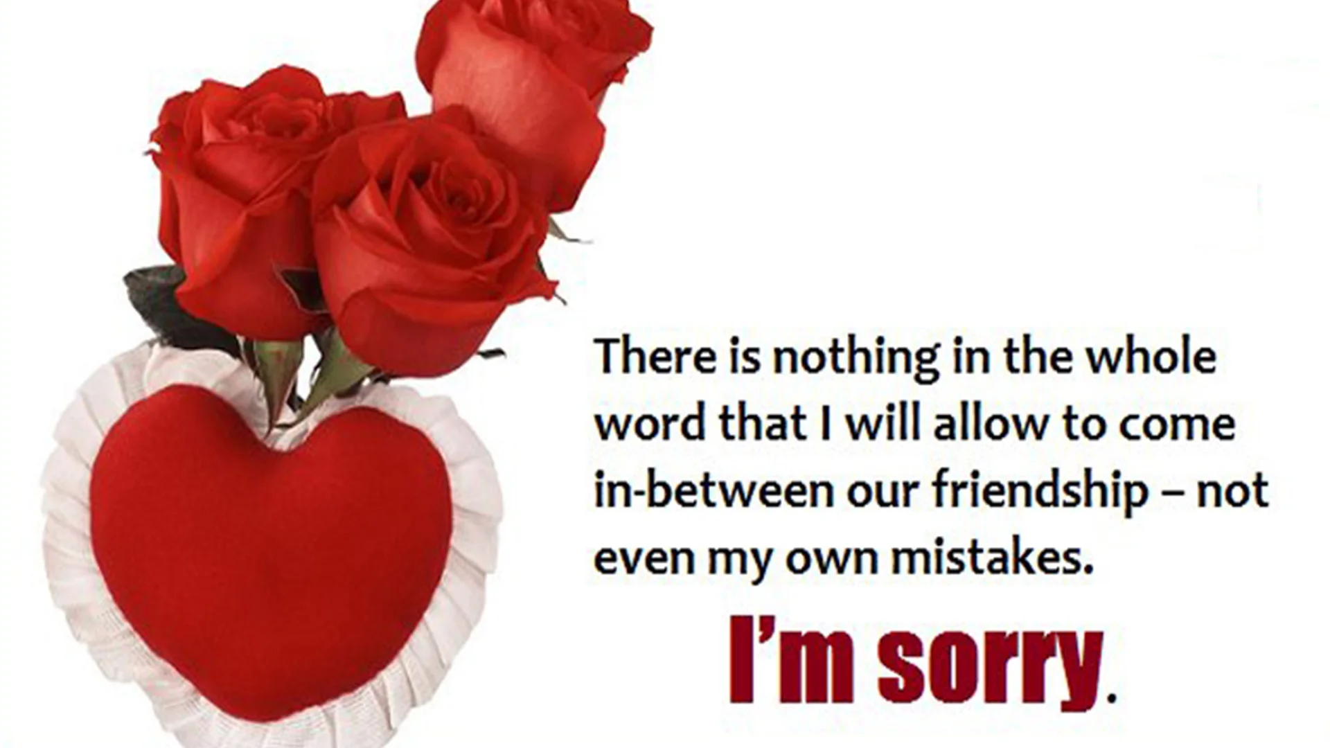 sorry cards hd image