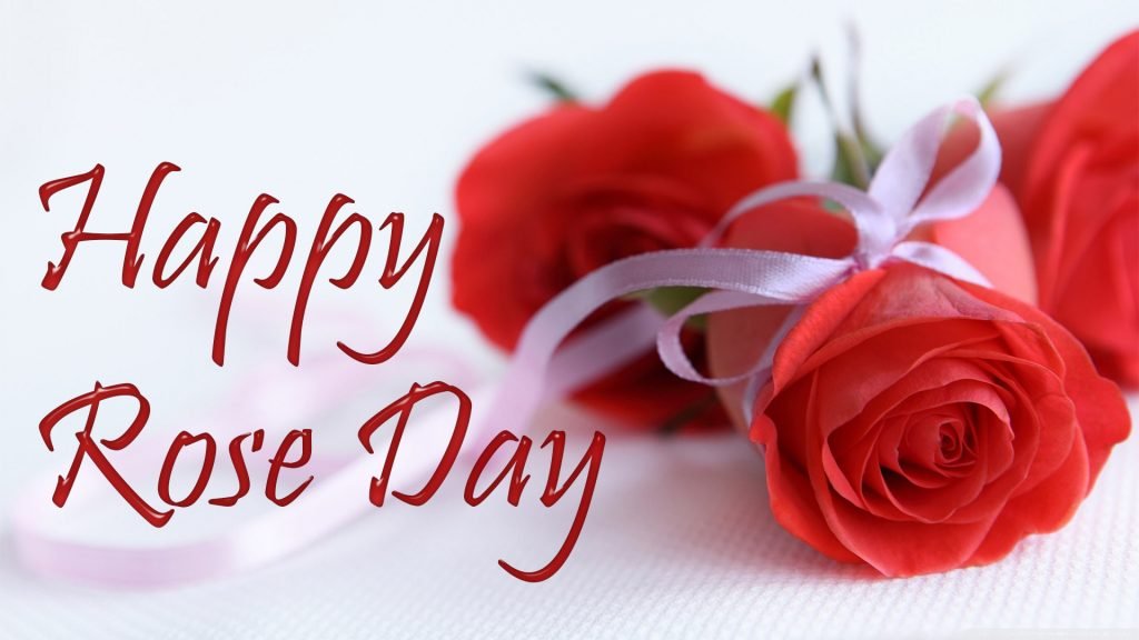 Happy Rose Day Wishes & Messages With Images