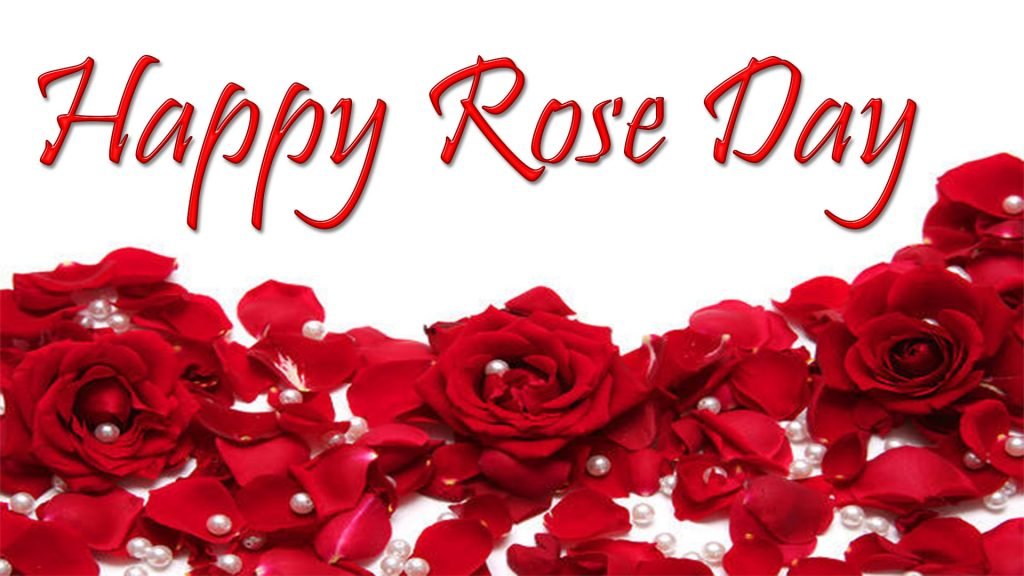 Happy Rose Day Wishes & Messages With Images