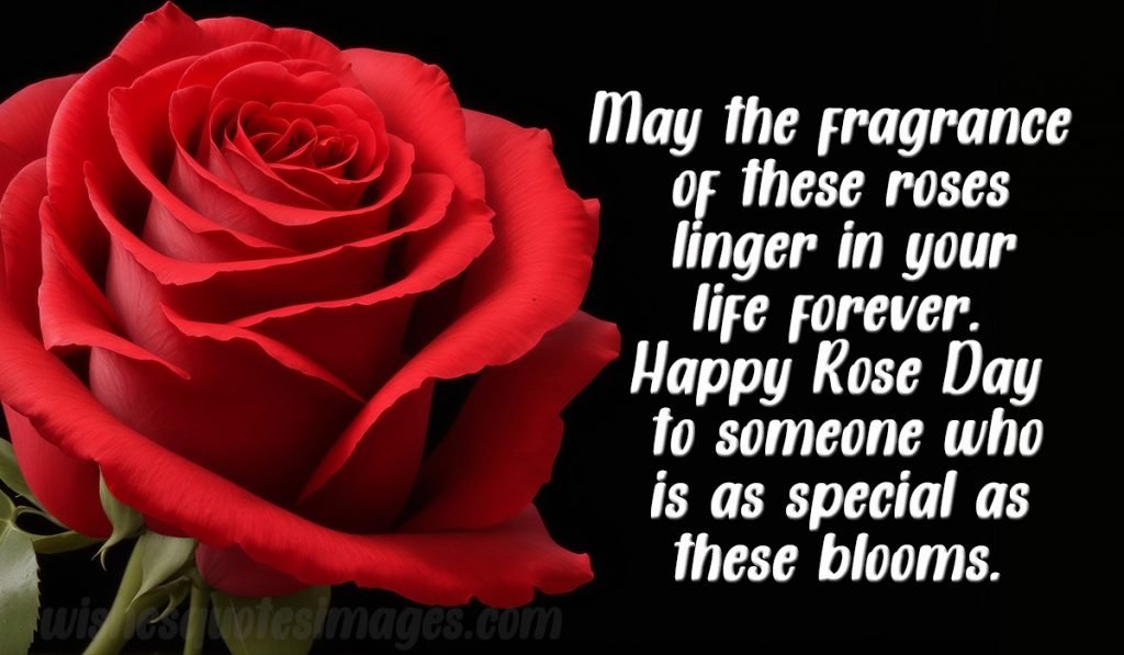 rose day image