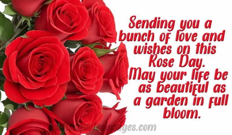 rose day wishes