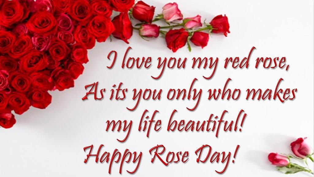 Happy Rose Day Wishes & Messages With Images