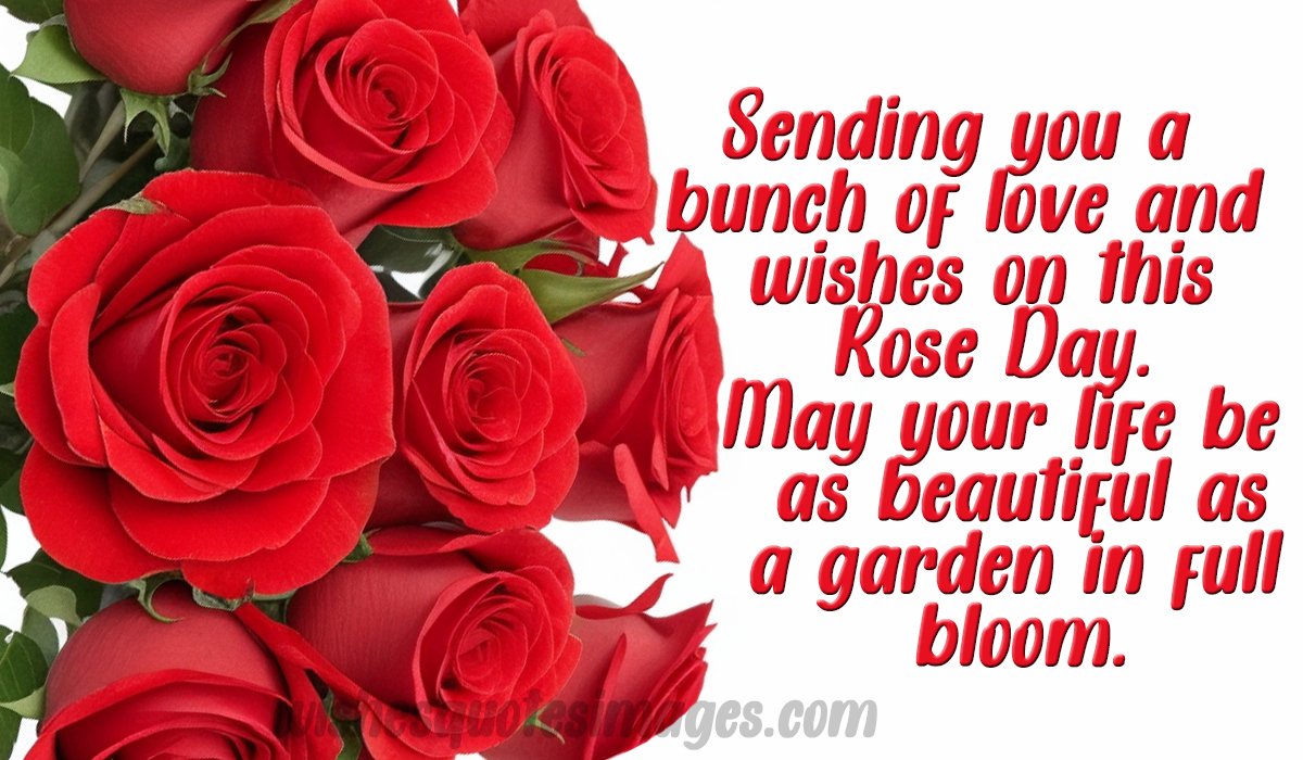 rose day wishes