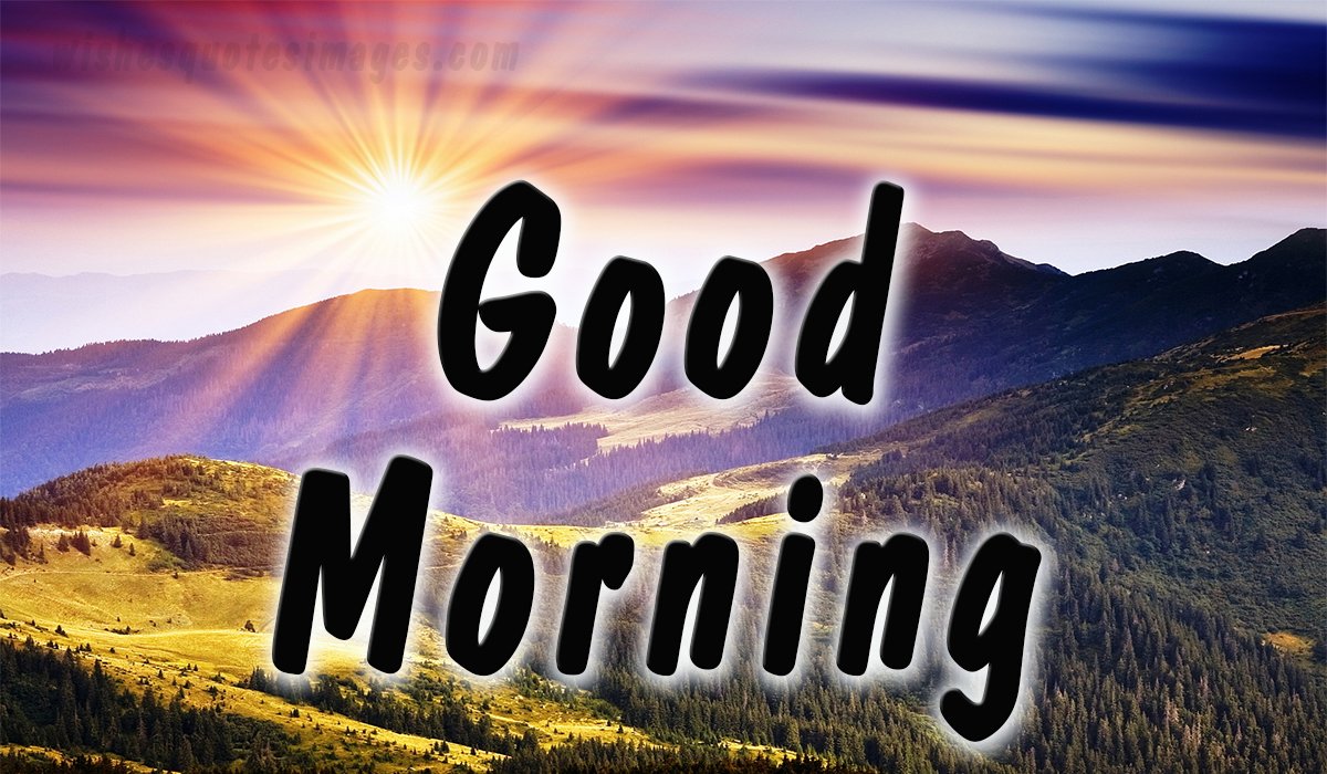 Good Morning Images HD Wallpapers 2024