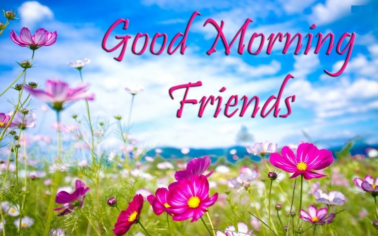 Good Morning Friends Images For Whatsapp | Morning Status