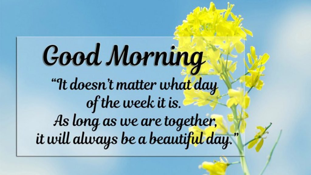 100 Beautiful Good Morning Quotes, Wishes & Messages 2024