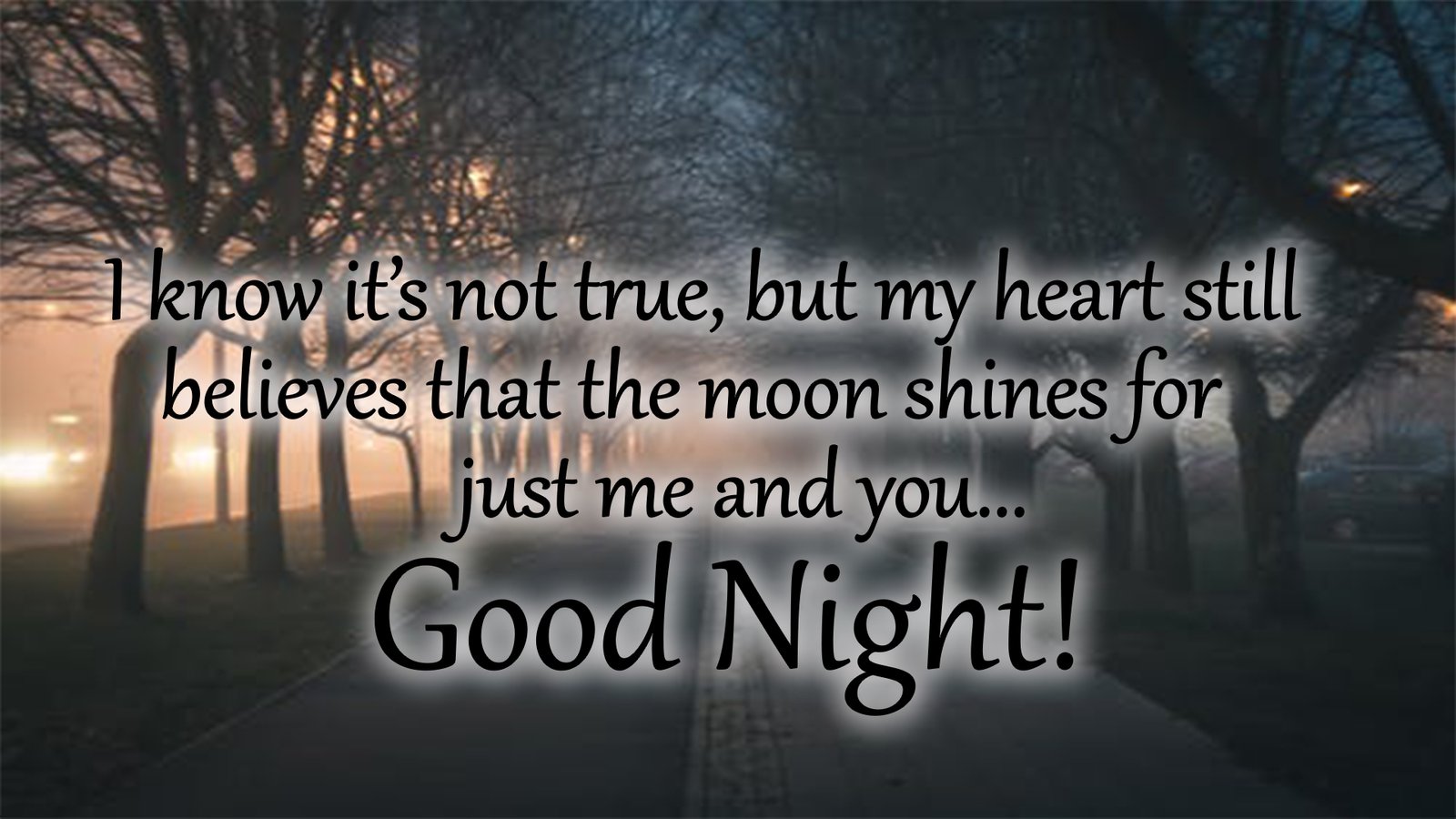 100 Beautiful Good Night Messages, Quotes & Wishes 2024