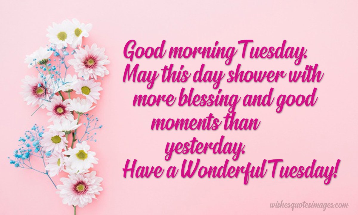 Happy Tuesday Wishes & Quotes | Tuesday Morning Messages