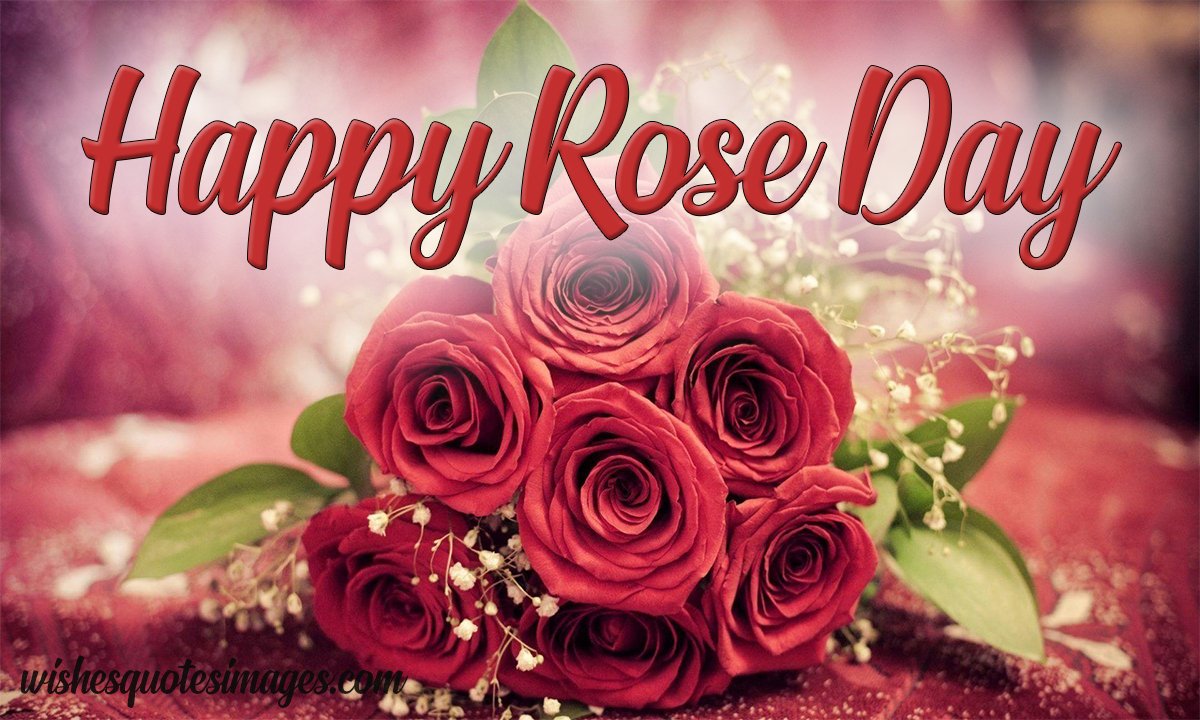 Happy Rose Day Wishes & Messages 2024 With Images