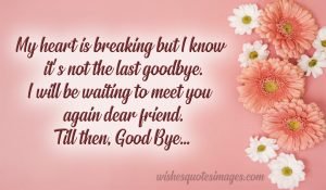 Farewell Messages & Good Bye Quotes With Images