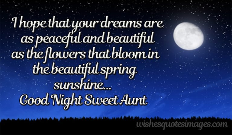 good night sweet aunt image